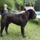 Horus con 9 meses